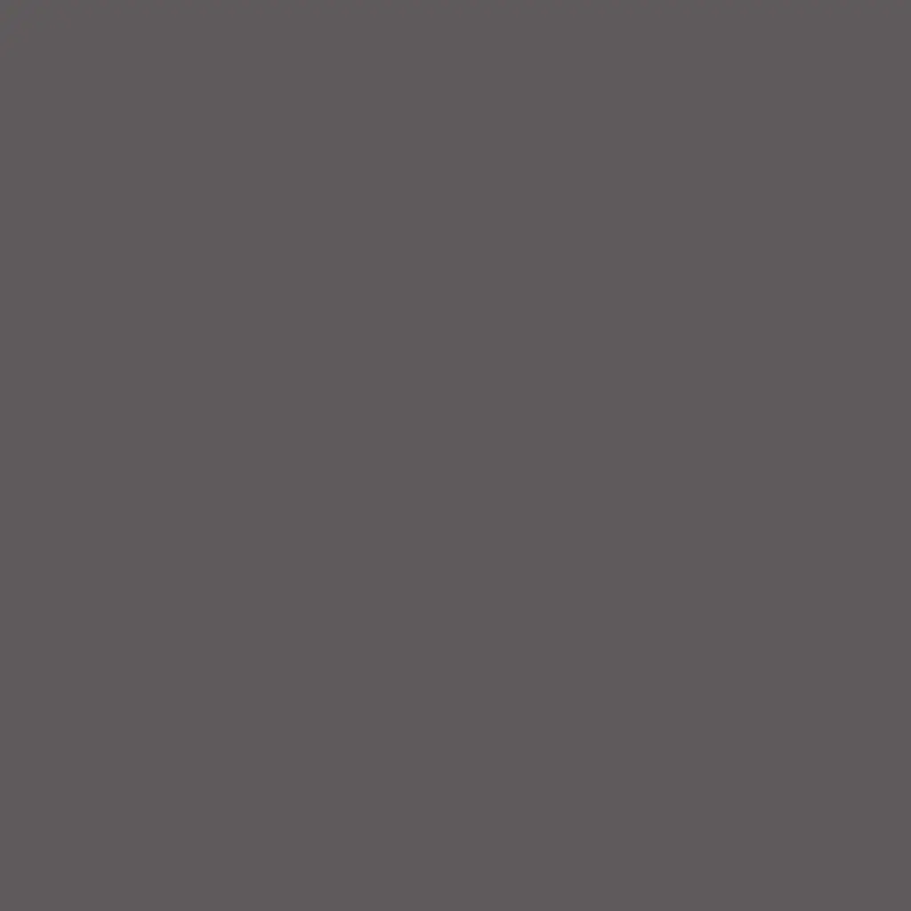 Color Basic SOLID Graphite Grey  PD   280*207*18MM