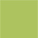 Solid HG P.GREEN
