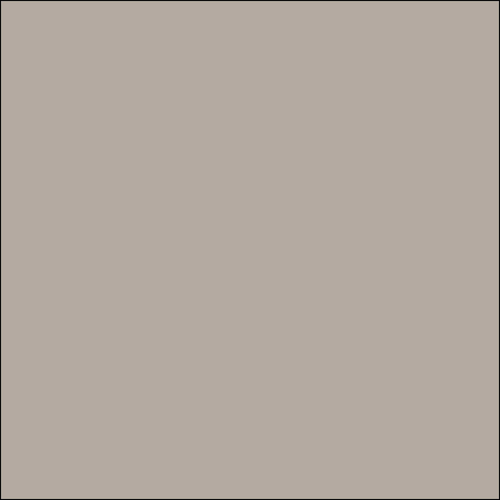 Solid SM LATTE - CODE : 3741