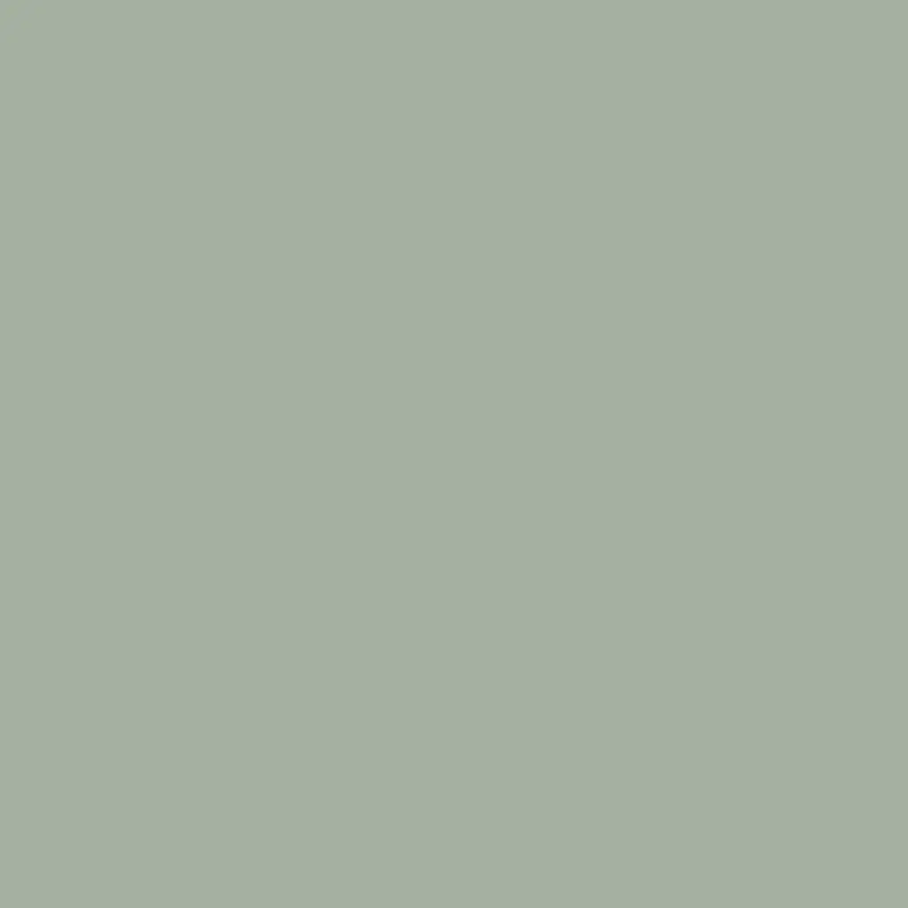 ZENIT SOLID SM AGAVE SM