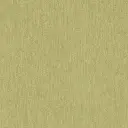 STAINLESS 0.8
