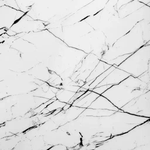 [2263] Marble WHITE VENATO