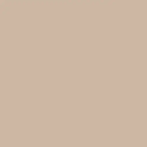 [K807] Uni Color SOLID Nutmeg PD 280*207*18MM